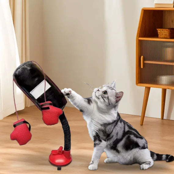Jouet de Boxe pour Chat – Gants & Ventouse | Divertissement Intérieur