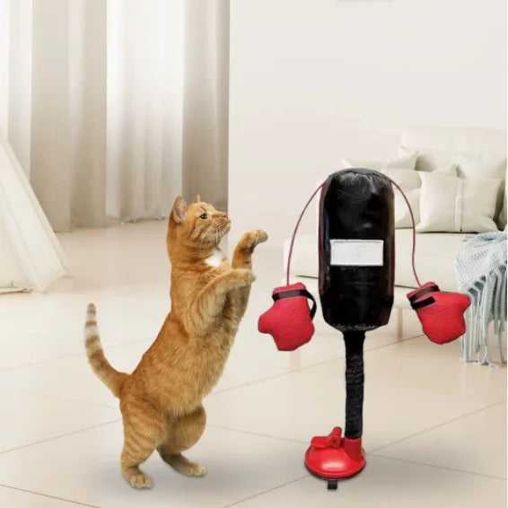 Jouet de Boxe pour Chat – Gants & Ventouse | Divertissement Intérieur